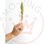 EasyJoint Tripla Effe Linea Seedless Combo