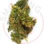 Easyjoint Bio Futura Line Seedless Combo