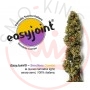 Easyjoint Seedless Combo Futura 75