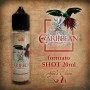 Azhad's Elixirs Caribbean Limited Edition Aroma 20 ml