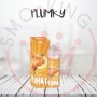 Svaponext Plumky Aroma 20 ml