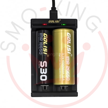 Battery Charger Golisi Needle 1