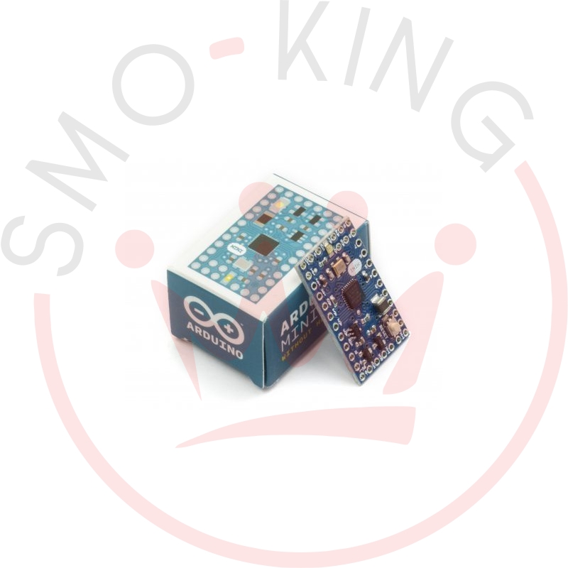 Arduino Mini 05 Board smo-kingshop.it