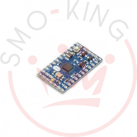 Arduino Mini 05 Board smo-kingshop.it