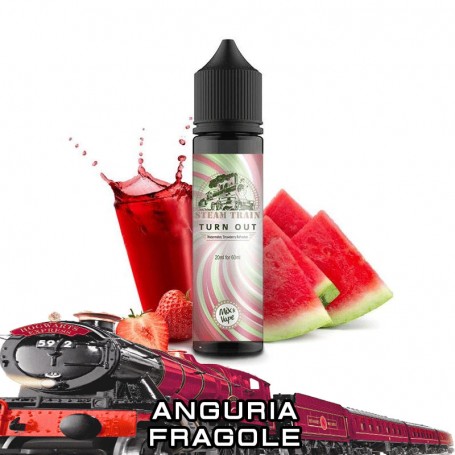 Steam Train Turn Out Aroma 20 ml