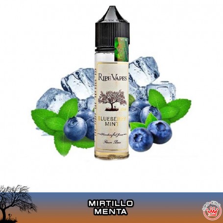 Ripe Vapes Blueberry Mint Aroma 20 ml