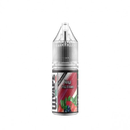 Menta Frutti di Bosco Concentrated Aroma 10 ml 01Vape