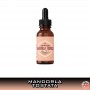 Mandorla Tostata Fruit Concentrated Aroma 10 ml T-Svapo