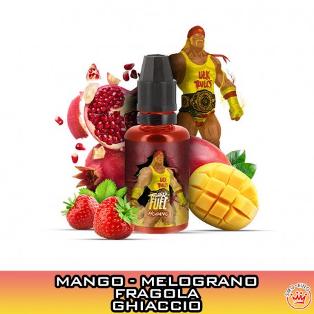 Hogano Concentrated Aroma 30 ml Fighter Fuel