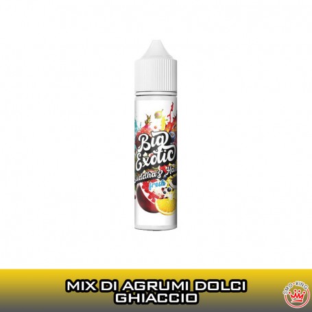 BUDDHA'S HANDS Big Exotic Aroma 20 ml BIG