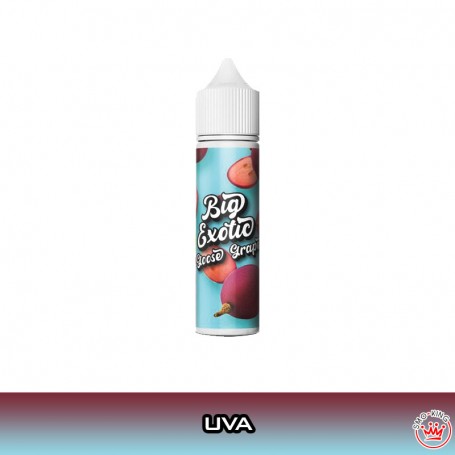 GOOSE GRAPE Big Exotic Aroma 20 ml BIG