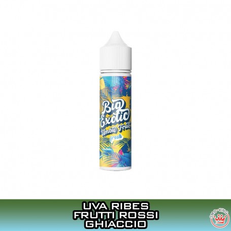 UMBU FRUIT Big Exotic Aroma 20 ml BIG