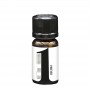 K Flavour Company PRIMO Aroma 10 ml