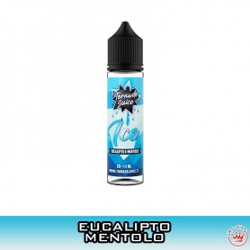 Ice Aroma Scomposto 20 ml Tornado Juice Ice Aroma Scomposto 20 ml Tornado Juice