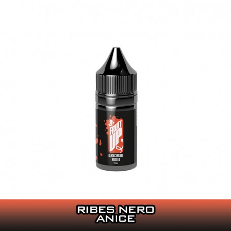 Fruit Up Blackcurrant Aniseed Aroma Mini 10 ml Reload Vape