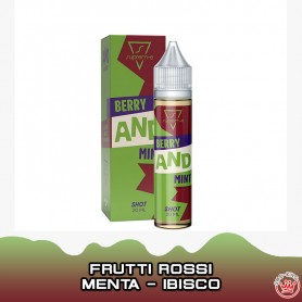 Berry AND Mint Aroma 20 ml Suprem-e