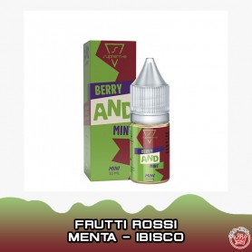 Berry AND Mint Aroma Mini 10 ml Suprem-e
