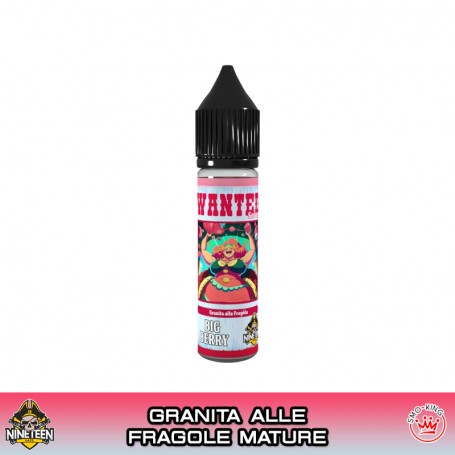 BIG BERRY Wanted Mini Shot 10 ml Nineteen Vape