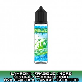 POLAR BREAKING BEAR Aroma 20 ml TNT VAPE