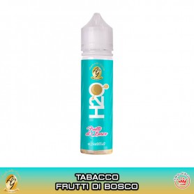 FRUTTI DI BOSCO H2O Aroma 20 ml Angolo della Guancia