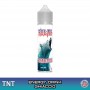 Polar BEARBULL Aroma 20 ml TNT Vape