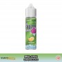 FUJI MELON Frozen Brain Aroma 20 ml SvapoNext
