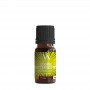 Cookie Butterscotch Concentrated Aroma 10 ml Valkiria