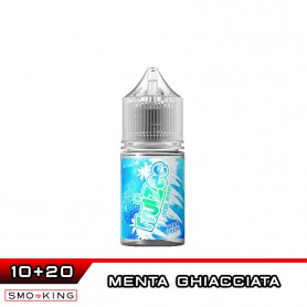 Icee Mint Fruizee Mini Shot 10+20 Eliquid France Icee Mint Fruizee Mini Shot 10+20 Eliquid France