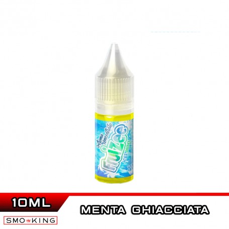 ICEE MINT Aroma 10 ml FRUIZEE Eliquid France