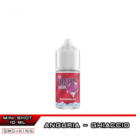 WATERMELON Frozen Brain Aroma Mini 10 ml SvapoNext