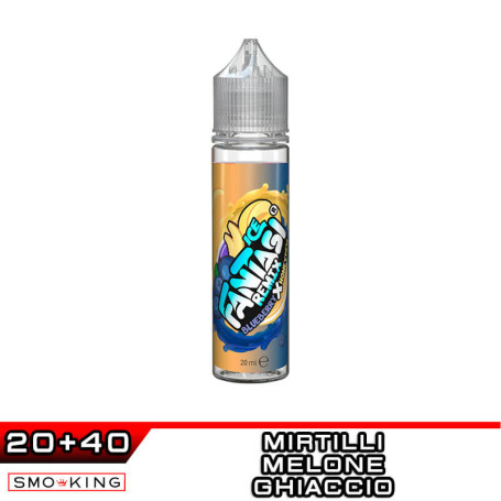 Blueberry X Honeydew ICE FANTASI REMIX Aroma Shot 20 ml Vape Juice