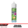 FUJI MELON Frozen Brain Aroma 20 ml SvapoNext