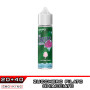 COTTON CANDY Frozen Brain Aroma 20 ml SvapoNext