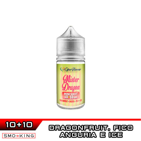 MR DRAGON FRESHFRUITY Mini Shot 10+10 Cyber Flavour