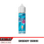 BULL Frozen Brain Aroma 20 ml SvapoNext