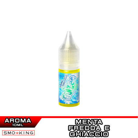 ICEE MINT Aroma 10 ml FRUIZEE
