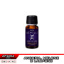 GEMELLI Zodiac Series Aroma Concentrato 10 ml Goldwave