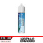 Freezy BLUEBERRY Aroma 20 ml Flavourage