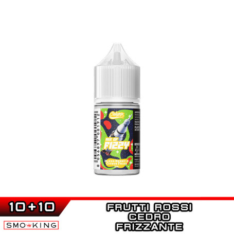 MIXED BERRY & CITRUS FRIZZ Age of Fizzy Mini Shot 10+10 ml CALYPSO