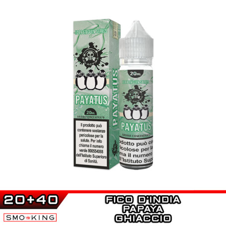 PAYATUS I Pinguini Aroma Shot 20 ml GALACTIKA