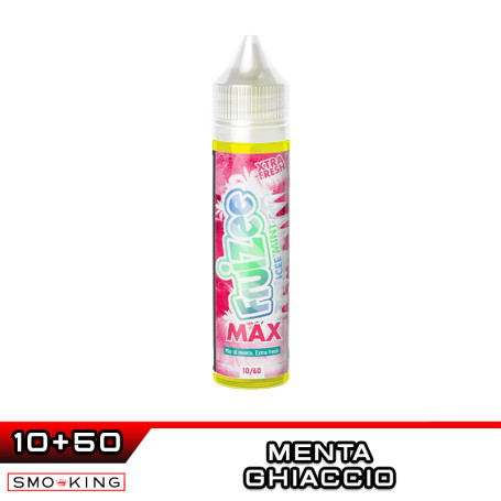 ICEE MINT FRUIZEE MAX Aroma Shot 10 ml in 60 ml Eliquid France Menta Ice