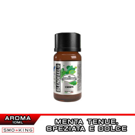 CRISPA Pianeta Menta Concentrated Aroma 10 ml BLENDFEEL