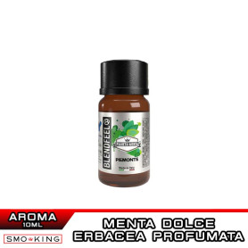PIEMONTE Pianeta Menta Concentrated Aroma 10 ml BLENDFEEL