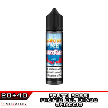 ICE BERRYBLAST Aroma Shot 20ml SVAPOWEB