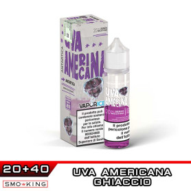 UVA AMERICANA VaporICE Shot 20ml VAPORART Uva Ice