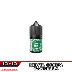 CINNA MINT Pianeta Menta Mini Shot 10+10 ml BLENDFEEL Menta Crispa Cannella
