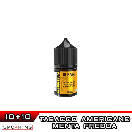 BLIZZARD Longfill Mini Shot 10+10 ml BLENDFEEL