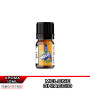 MELON Magic Ice Concentrated Aroma 10ml RELOAD VAPE