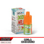 DOPPIA MELA VaporICE Liquido Pronto Nicotina 10ml VAPORART Mela Rossa Mela Verde Ghiaccio