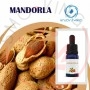 Enjoysvapo Almond Aroma 10ml